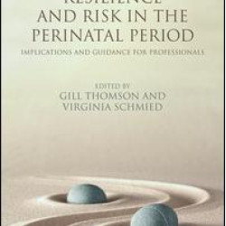 Psychosocial Resilience and Risk in the Perinatal Period