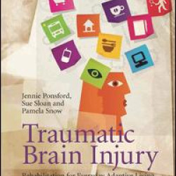 Traumatic Brain Injury Traumatic Brain Injury
