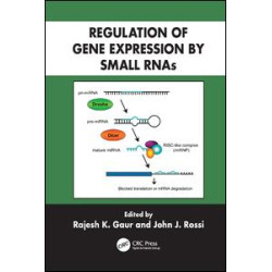 Regulation of Gene Expression by Small RNAs