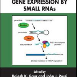 Regulation of Gene Expression by Small RNAs