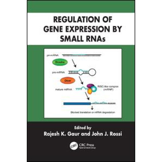 Regulation of Gene Expression by Small RNAs