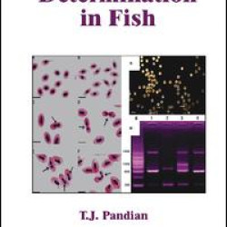 Sex Determination in Fish