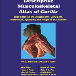 Photographic and Descriptive Musculoskeletal Atlas of Gorilla Photographic and Descriptive Musculoskeletal Atlas of Gorilla