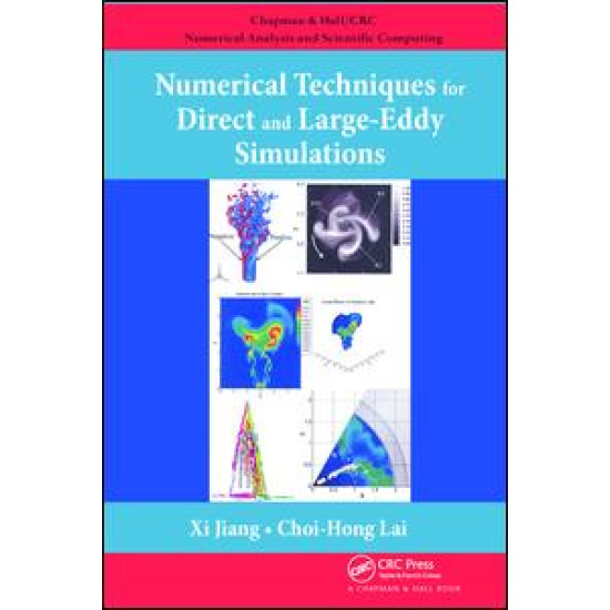 Numerical Techniques for Direct and Large-Eddy Simulations