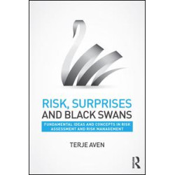 Risk, Surprises and Black Swans