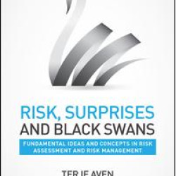 Risk, Surprises and Black Swans