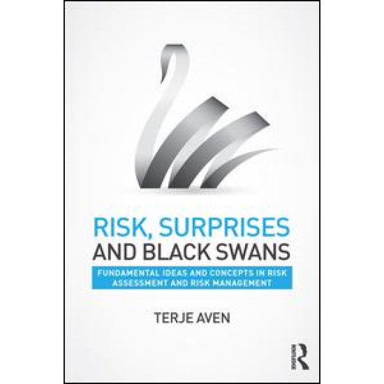 Risk, Surprises and Black Swans