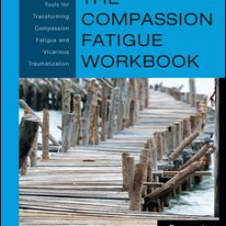 The Compassion Fatigue Workbook The Compassion Fatigue Workbook