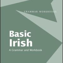 Basic Irish: A Grammar and Workbook