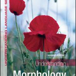 Understanding Morphology