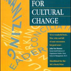 Strategies for Cultural Change