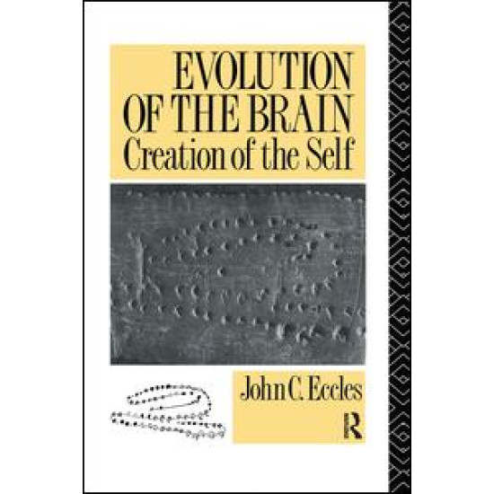 Evolution of the Brain: Creation of the Self