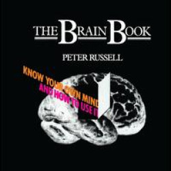 The Brain Book The Brain Book
