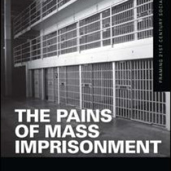 The Pains of Mass Imprisonment