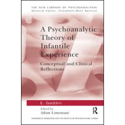 A Psychoanalytic Theory of Infantile Experience