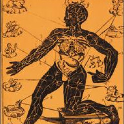 The Body Social