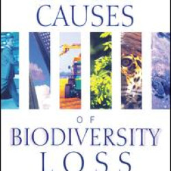 The Root Causes of Biodiversity Loss The Root Causes of Biodiversity Loss