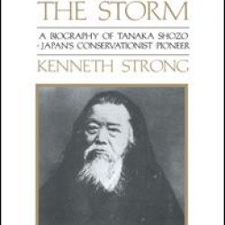 Ox Against the Storm