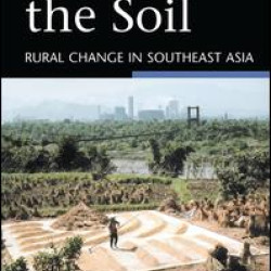 More than the Soil More than the Soil