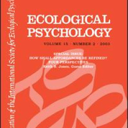 How Shall Affordances Be Refined?