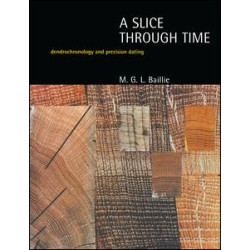 A Slice Through Time