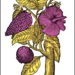 Sexuality and Its Discontents