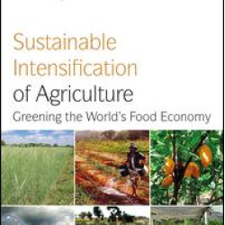 Sustainable Intensification of Agriculture