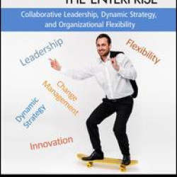 Agilizing the Enterprise