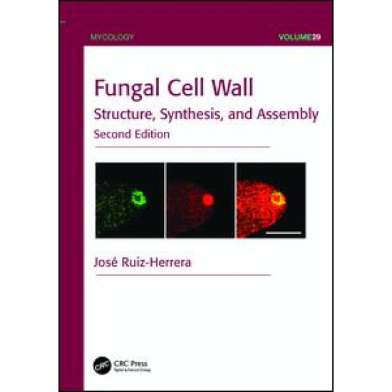 Fungal Cell Wall Fungal Cell Wall
