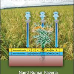 Mineral Nutrition of Rice