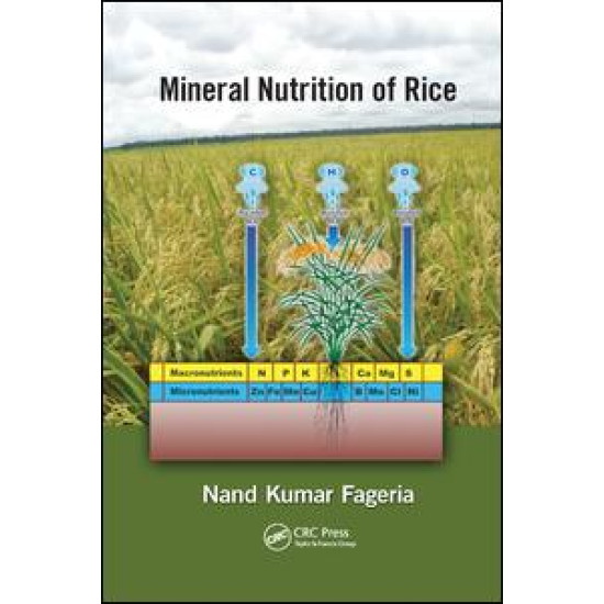 Mineral Nutrition of Rice