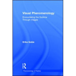 Visual Phenomenology