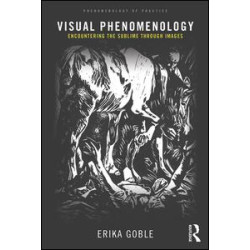 Visual Phenomenology Visual Phenomenology