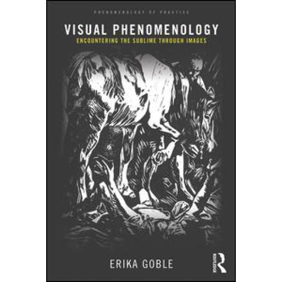 Visual Phenomenology