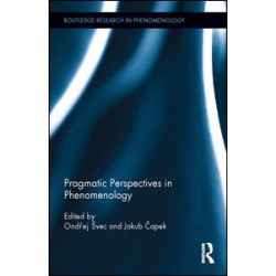 Pragmatic Perspectives in Phenomenology