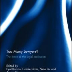 Too Many Lawyers?