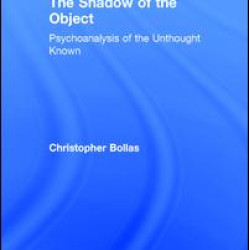 The Shadow of the Object