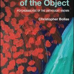 The Shadow of the Object