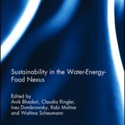 Sustainability in the Water-Energy-Food Nexus