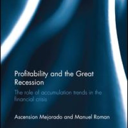 Profitability and the Great Recession