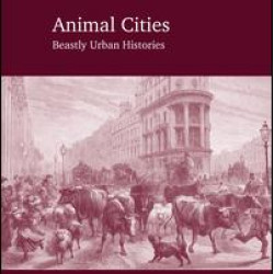 Animal Cities