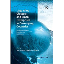 Upgrading Clusters and Small Enterprises in Developing Countries Upgrading Clusters and Small Enterprises in Developing Countries