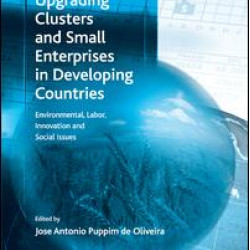 Upgrading Clusters and Small Enterprises in Developing Countries Upgrading Clusters and Small Enterprises in Developing Countries