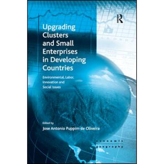 Upgrading Clusters and Small Enterprises in Developing Countries Upgrading Clusters and Small Enterprises in Developing Countries