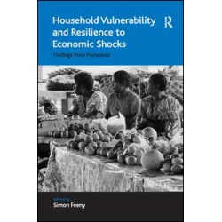Household Vulnerability and Resilience to Economic Shocks