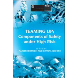 Teaming Up: Components of Safety Under High Risk Teaming Up: Components of Safety Under High Risk