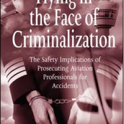 Flying in the Face of Criminalization Flying in the Face of Criminalization