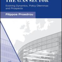 EU Energy Security in the Gas Sector EU Energy Security in the Gas Sector