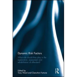 Dynamic Risk Factors