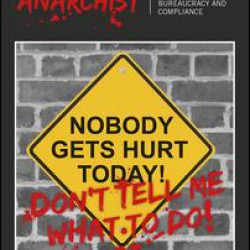 The Safety Anarchist The Safety Anarchist